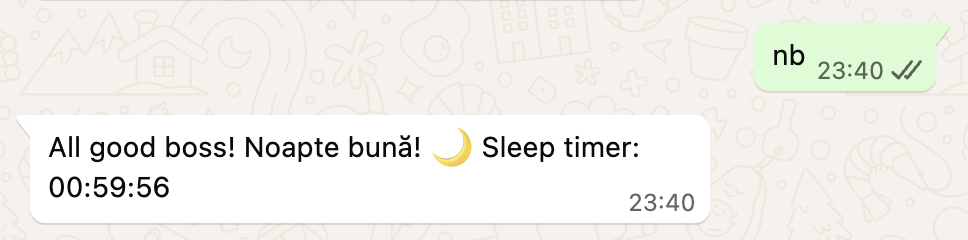 WhatsApp screenshot: sending 'nb' to Vasile and getting back 'All good boss! Noapte bună! 🌙 Sleep timer: 00:59:56'