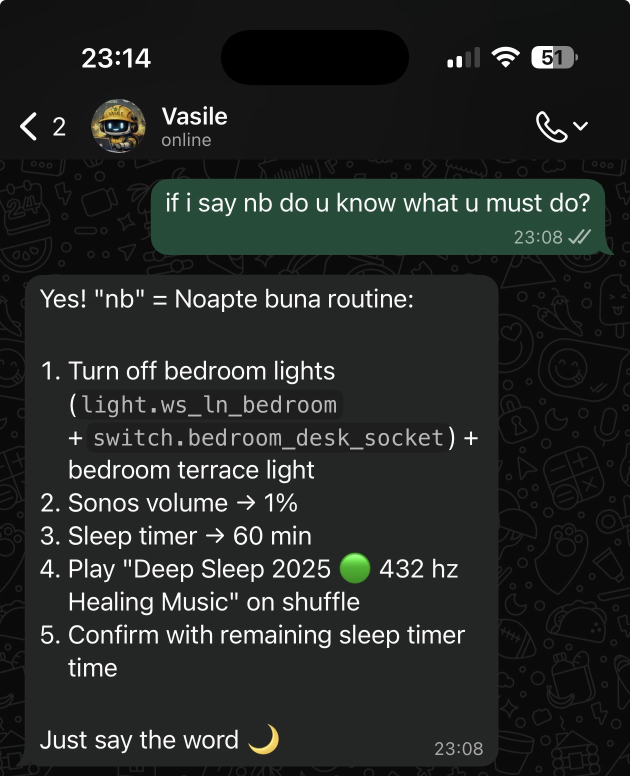 WhatsApp screenshot of Vasile explaining the nb routine: bedroom lights off, Sonos volume to 1%, sleep timer 60 min, Deep Sleep 432 hz playlist on shuffle, confirm with remaining timer